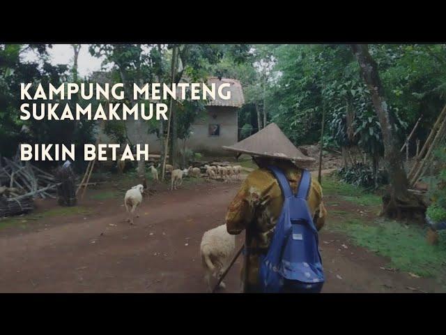 Pedesaan Bogor Timur || Mantap Pisan Kampung ini, Bikin betah!