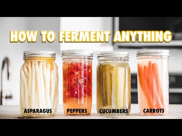 The Guide to Lacto-Fermentation: How To Ferment Nearly Anything