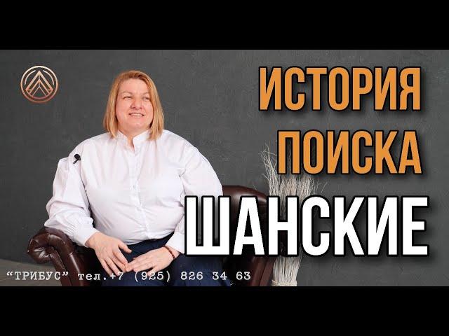 История поиска - Шанские. Агентство Трибус.