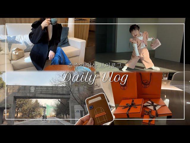 Eng Sub) 에르메스 맥세이프 카드 지갑, 스카프, 벨트 언박싱 | 반얀트리호텔 스파, 포르쉐 718 GTS | 어린이 발레, 연년생 남매 육아