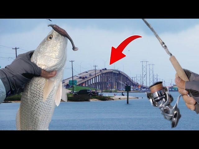 The Secret to Catching Your Limit on JFK Causeway in Corpus Christi, TX