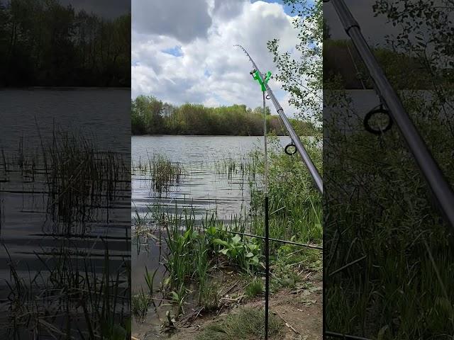 Самое лучшее лекарство от нервов от стресса)