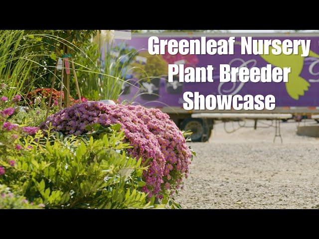 Greenleaf Nursery Plant Breeder Showcase