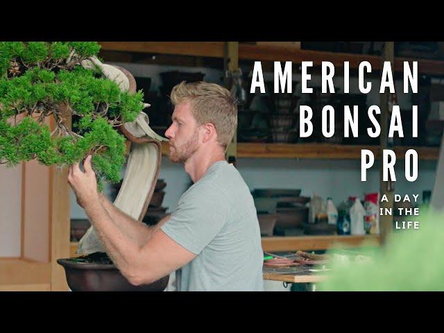 A Day in the Life of a BONSAI Professional in America