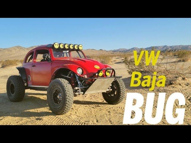 VW Baja bug