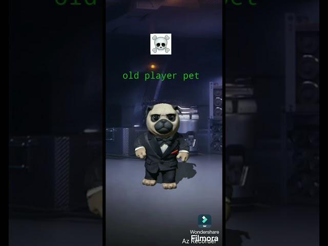 New player pet vs old player pet (pls like and subscribe) 1.20k likes target