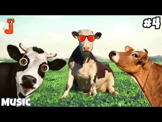 FUNNY COW DANCING VIDEO 4│Cow Song & Cow Videos 2023 | Cow dance mix | funny dancing gay