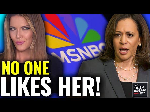 Focus Group SHREDS Kamala After Humiliating Interview— MSNBC Host SHOCKED 