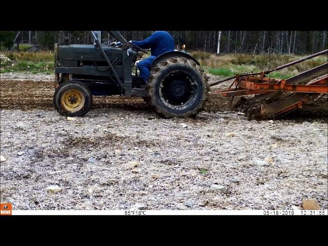 Thomas Rock Picker