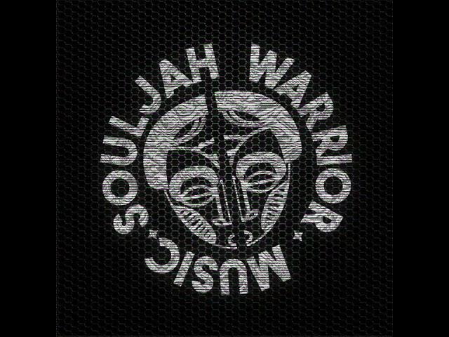 HEAVY DUB SELECTION FROM SOULJAH WARRIOR // 1 HOURS OF DUBPLATES (Digital Roots, Dub & Stepper)