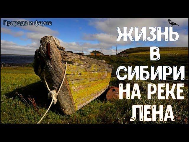 Жизнь в Сибири. Река ЛЕНА. Люди Севера. Жизнь в России