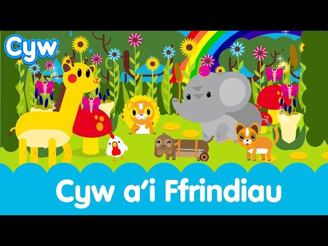 Cyw a'i Ffrindiau | Cyw and Her Friends - Welsh songs nursery rhymes programmes and shows