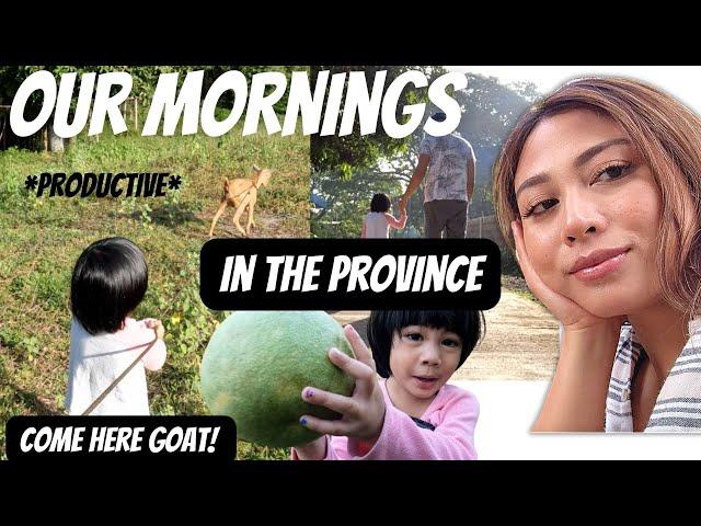 A Peek into our Mornings Here in the Province | Simple Extraordinary life