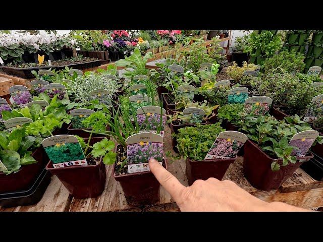 Planting a Vertical Herb Garden (+ Shopping for the Herbs)! 🪴 // Garden Answer