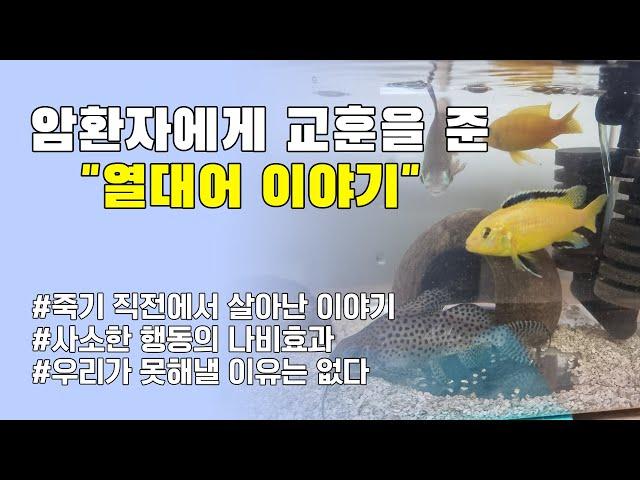 암환자에게 교훈을 준 열대어 이야기 (경험담) | 30대 암환자 | 두경부암 | 비인두암 | 희귀암 | 세브란스 | 후유증 | 믿음 | 의지 | 긍정