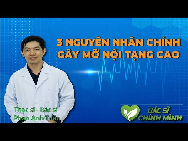 3 Nguyên Nhân Hình Thành Mỡ Trong Máu, Mỡ Nội Tang Cao | Bác Sĩ Chính Mình