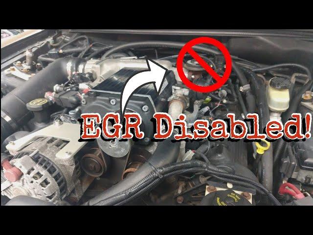 Mustang Kenne Bell / Whipple Owners, DO THIS IMMEDIATELY! | RAD23