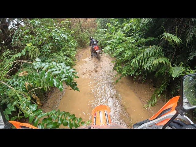 Taupo Kinleith Adventure Ride with Sean Clarke