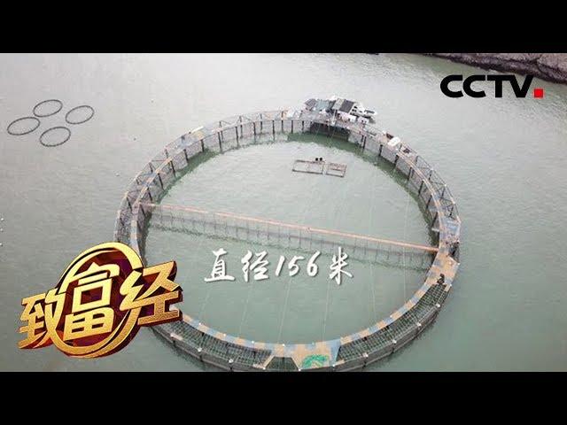 《致富经》 神秘大网 一网卖出3000万 20180627 | CCTV农业