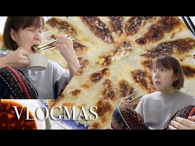 VLOGMAS 블로그마스 #11 |  만두를 사러 나갔을 뿐인데...다정이의 일상브이로그