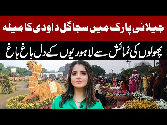 Flower Festival | Annual Chrysanthemum, Gul e Dawoodi Exhibition in Race Course park Lahore