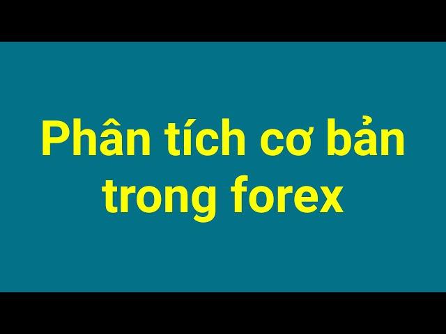 Forex | Phân tích cơ bản forex là gì? Bản chất của phân tích cơ bản trong forex