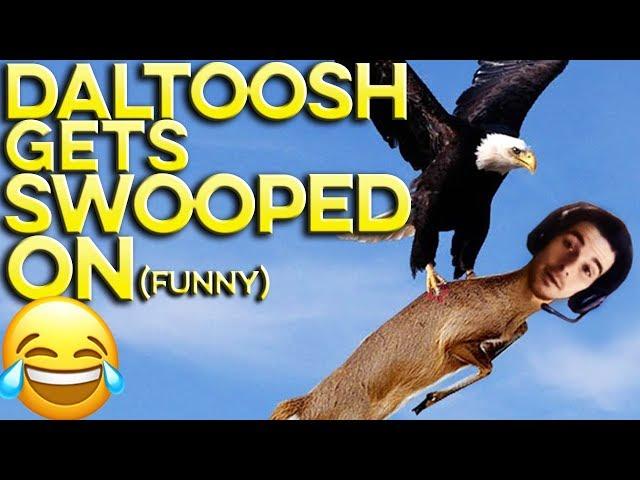 DALTOOSH GETS SWOOPED ON BY ELITE SQUAD  (FUNNY) | APEX LEGENDS