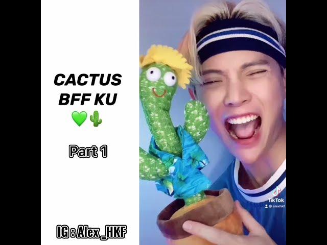 [TIKTOK] MY BFF CACTUS Part 1