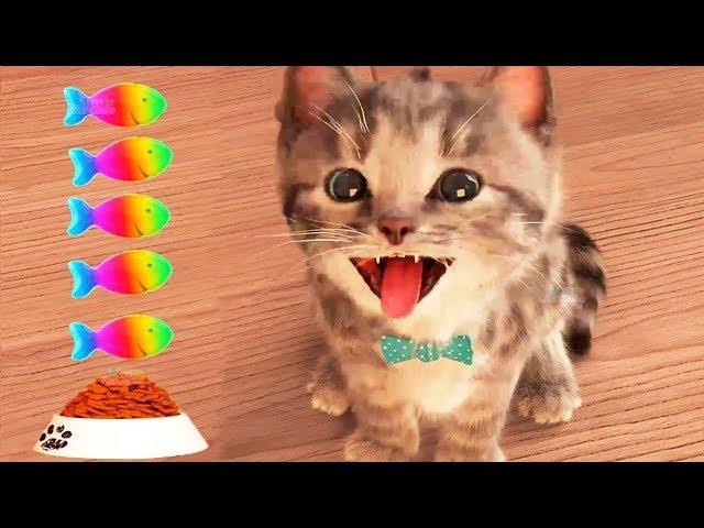 Little Kitten My Favorite Cat Pet Care Game - Fun Play Kitten Mini Games For Children