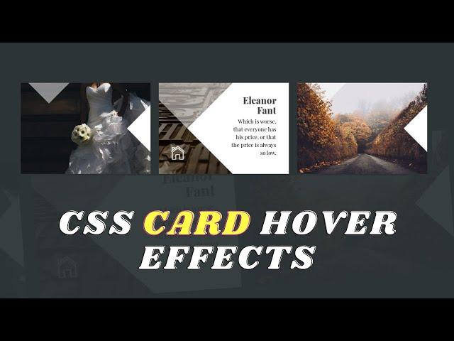 CSS Card Hover Effects | Vishweb Design