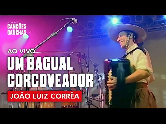 UM BAGUAL CORCOVEADOR - JOÃO LUIZ CORRÊA (AO VIVO - SHOW DVD)