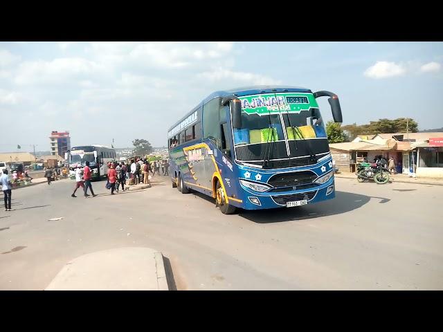SAULI LUXURY BUS ziache ziende️