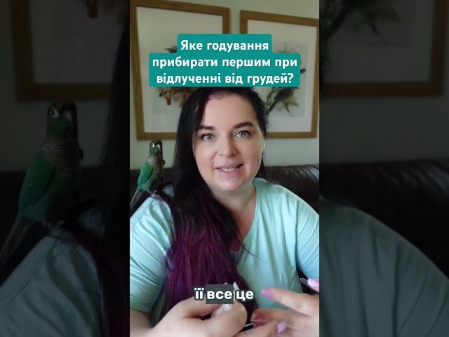 Алгоритм відлучення від грудей