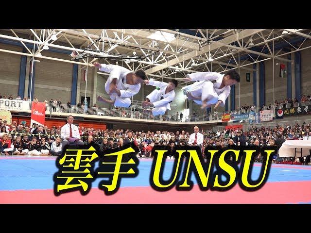 Karate Kata "Unsu" in 2017 JKA WORLD TOURNAMENT