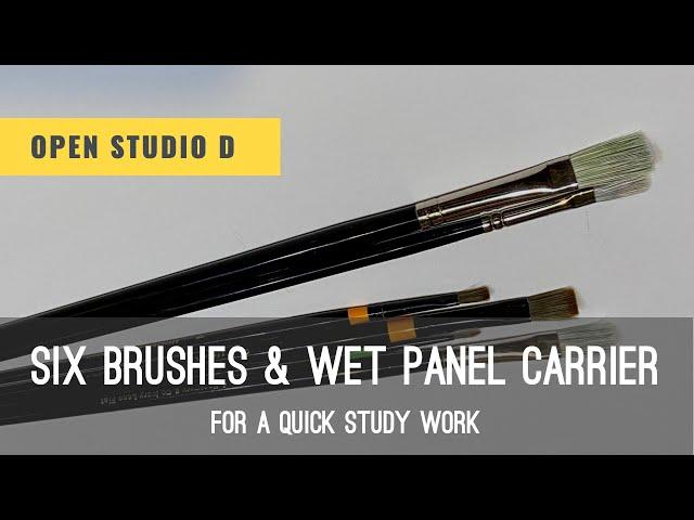 Six Brushes and Wet Panel Carrier for Quick Study Work. Learn oil painting with Vlad Duchev