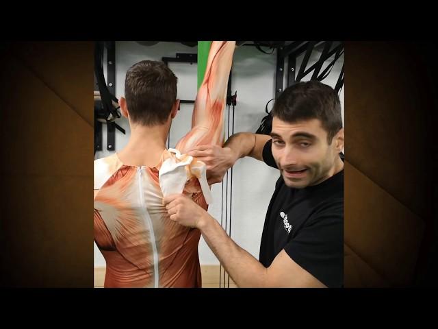  Elimina el dolor de hombro y trapecio - Roots videotips  