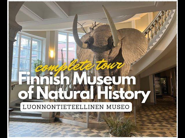 A Complete Tour of the Finnish Museum of Natural History 4K