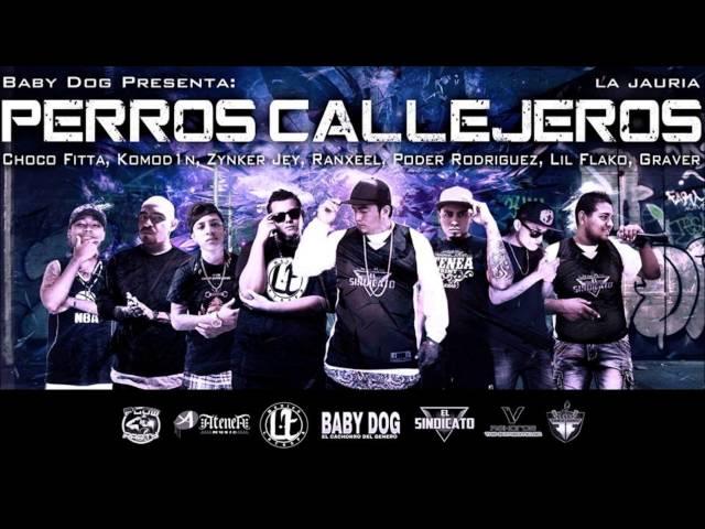 LOS PERROS CALLEJEROS BabyDog,Komod1n,ZynkerJey,Ranxeel,PoderRodriguez,ChocoFitta,LilFlako,Graver