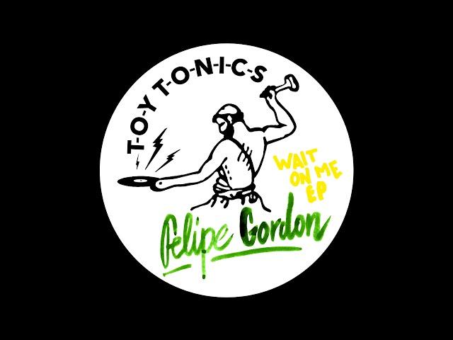 Felipe Gordon - Wait On Me [Toy Tonics]