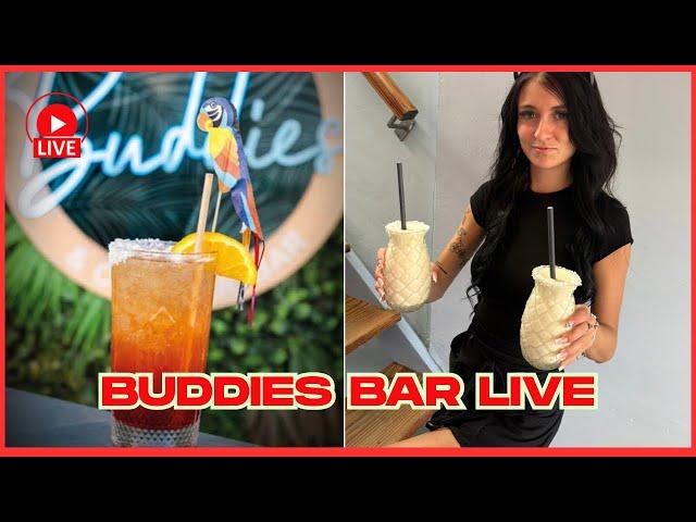 LIVE: Buddies Bar in Los Cristianos- COCKTAILS, ATMOSPHERE & MORE 
