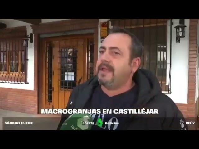 Las tres macrogranjas de Castilléjar (Granada) en menos de 60 kilómetros. Un Horror!!!!