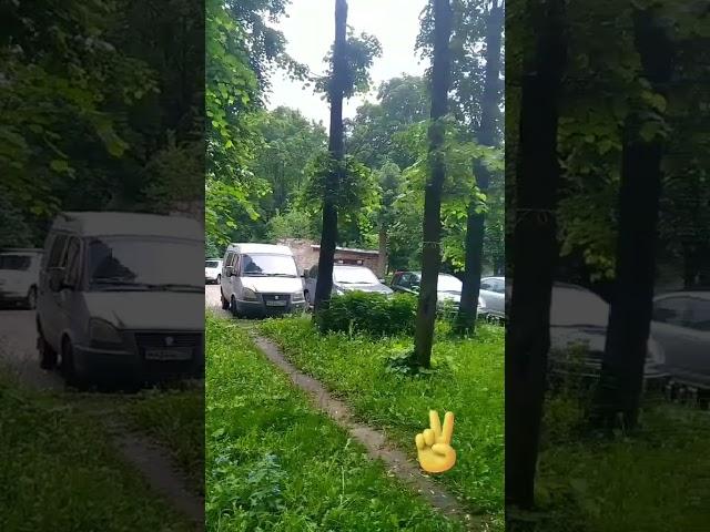 золотые слова. #подпишись #тульскаяобласть