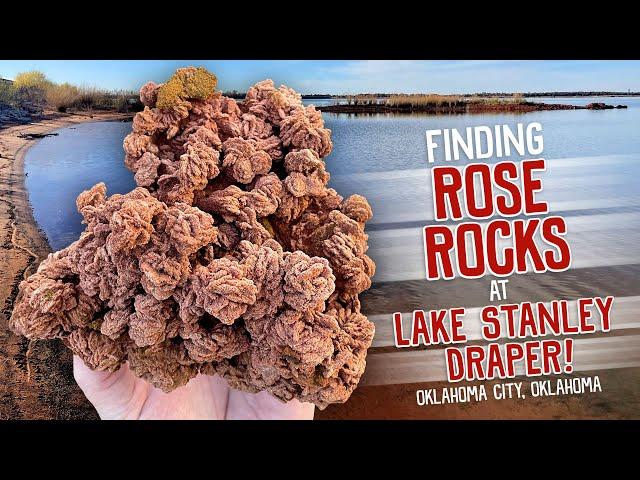 Finding Rose Rocks at Lake Stanley Draper!!