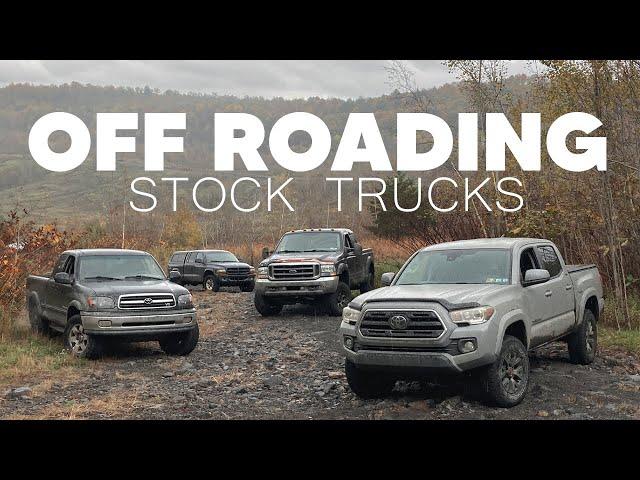 Taking Four Stock Trucks Off-Roading For The First Time!