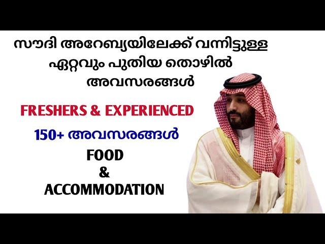 Gulf Jobs Malayalam December 2024|Job Vacancy in Saudi Arabia|Saudi Jobs Malayalam|Jobs in Saudi