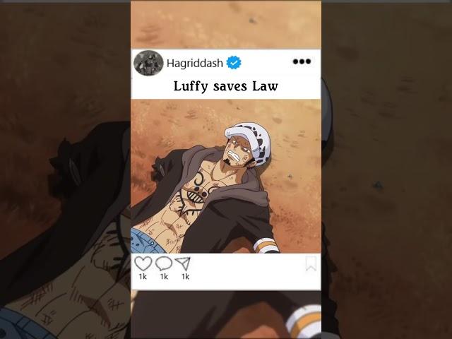 Law gets saved by Luffy #trend #trending #anime #animeedit #animedits