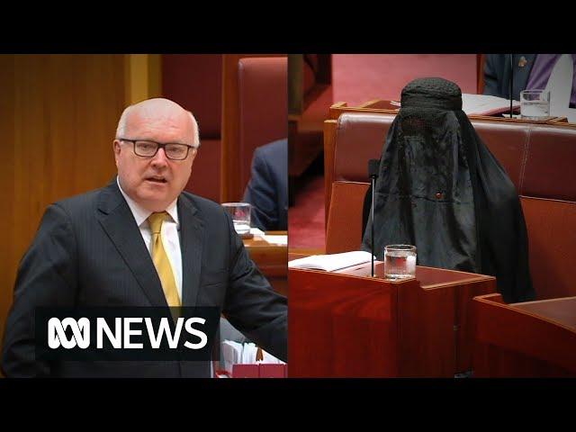 George Brandis slams Pauline Hanson for wearing a burka to Senate Question Time (2017) | ABC News