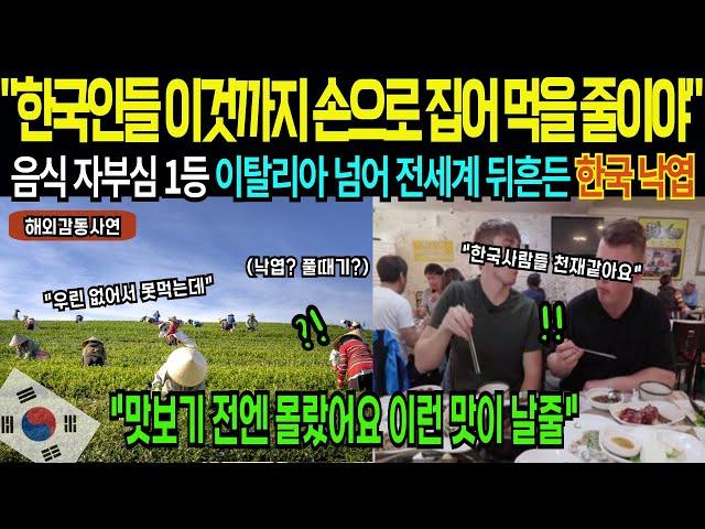 [해외감동사연] "낙엽 주워 먹는 한국인들?" 음식 자부심 1등 이탈리아를 뒤흔든 한국 낙엽에 전 세계도 충격
