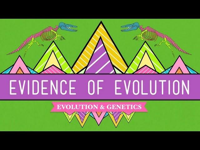 Evolution: It's a Thing - Crash Course Biology #20