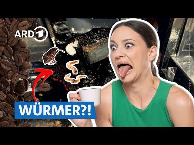 So eklig sind viele Kaffee-Vollautomaten: Schimmel, Tierchen, Bakterien!  | Marktcheck SWR